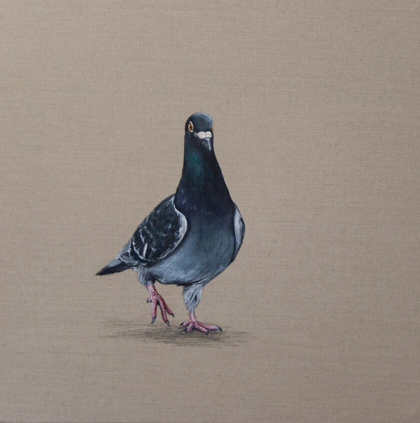 B90113 43 x 43 cm acrylic on canvas Sold