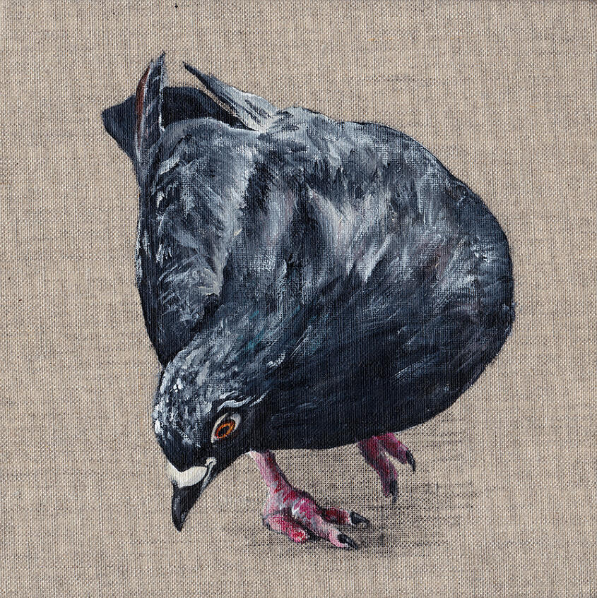 B90114 18 x 18 cm acrylic on canvas Available