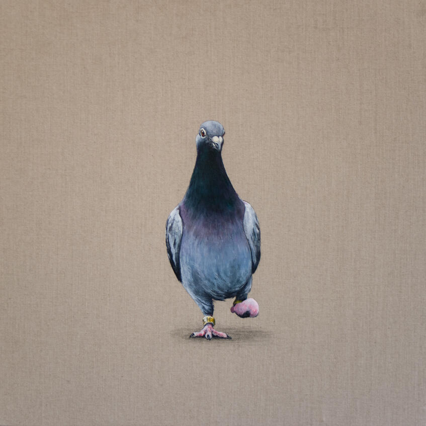 B90111 43 x 43 cm acrylic on canvas Sold