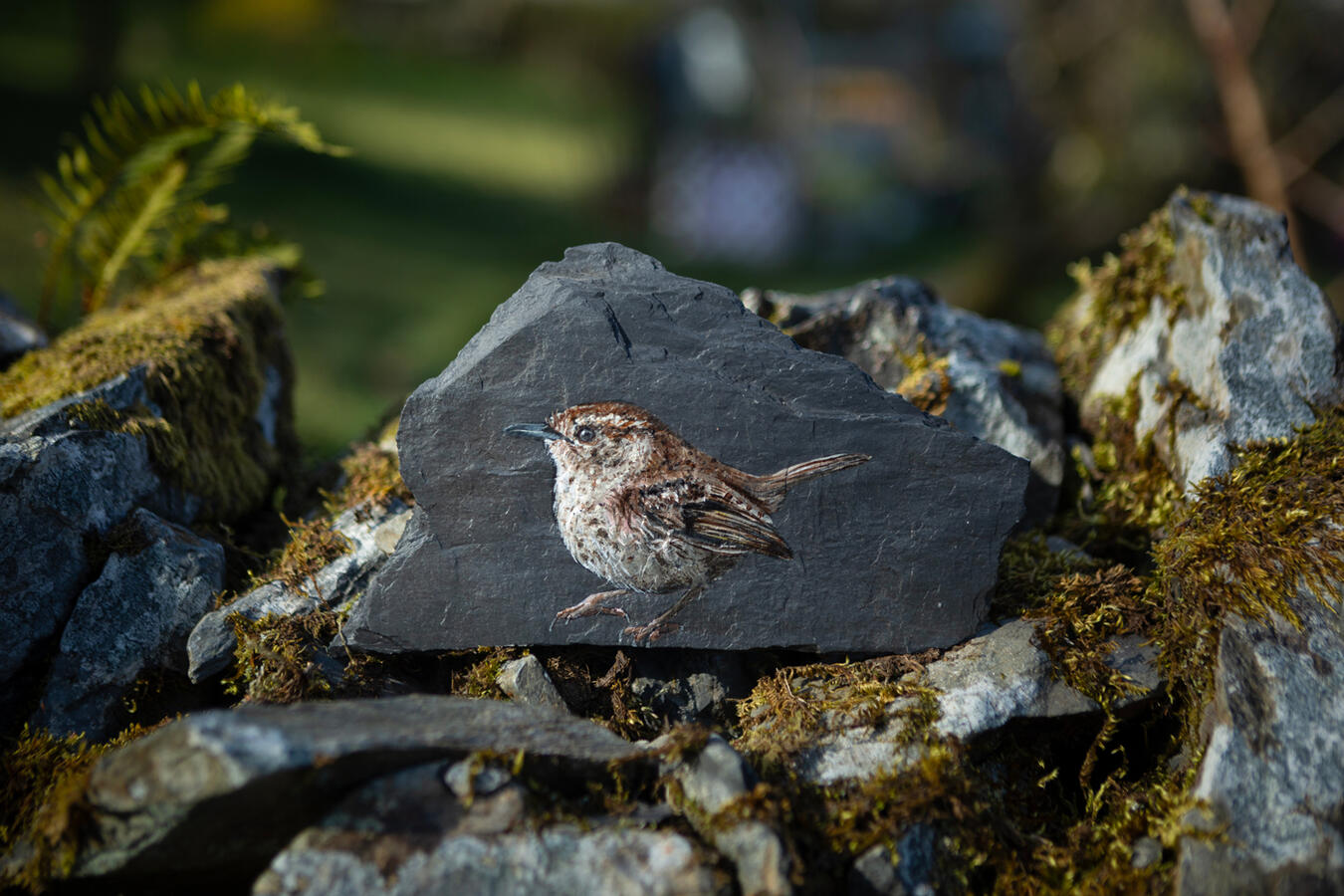 Wren #1 acrylic on Welsh slate 12.5 x 21.5 cm Sold