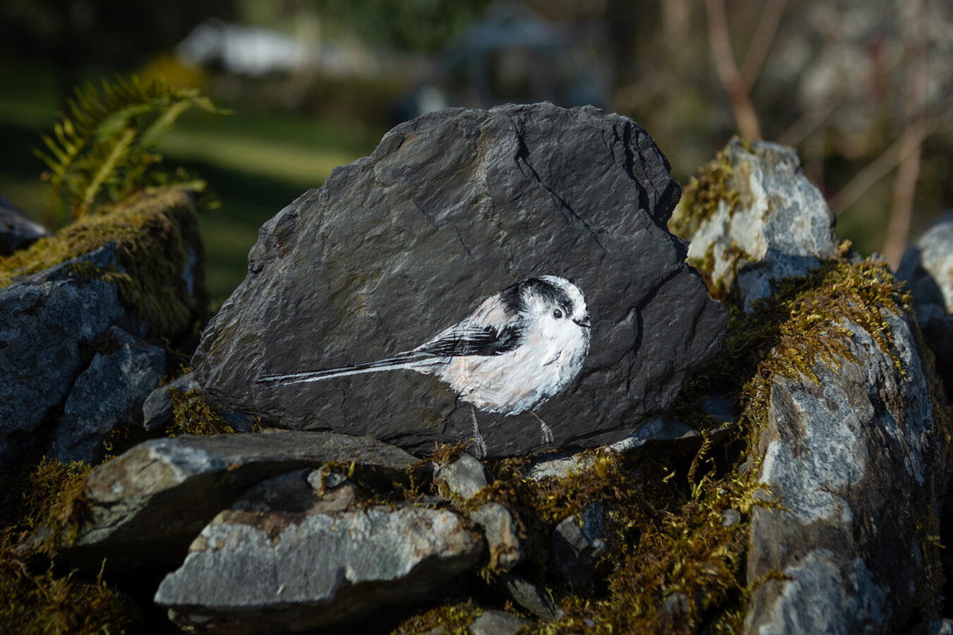 Long Tailed Tit #1 acrylic on Welsh slate 17 x 26 cm Available