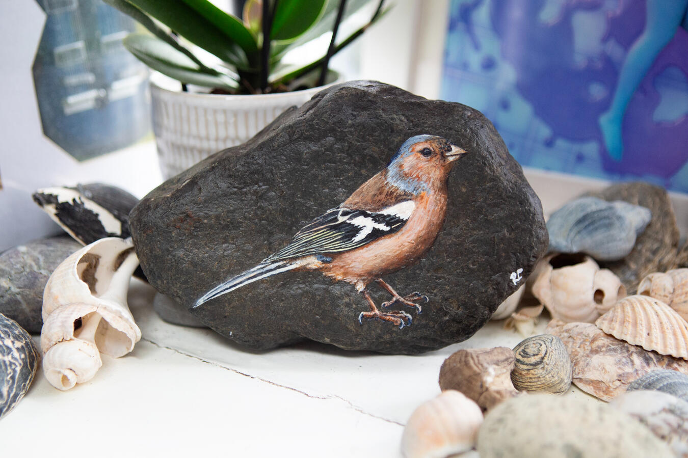 Male chaffinch painted on a thick worn chunk of welsh slate