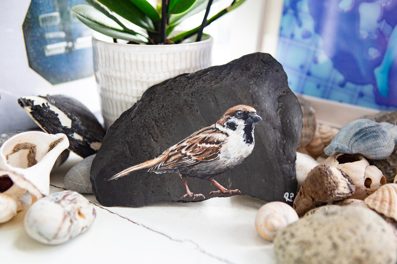 Male house sparrow painted on a small piece of river worn slate