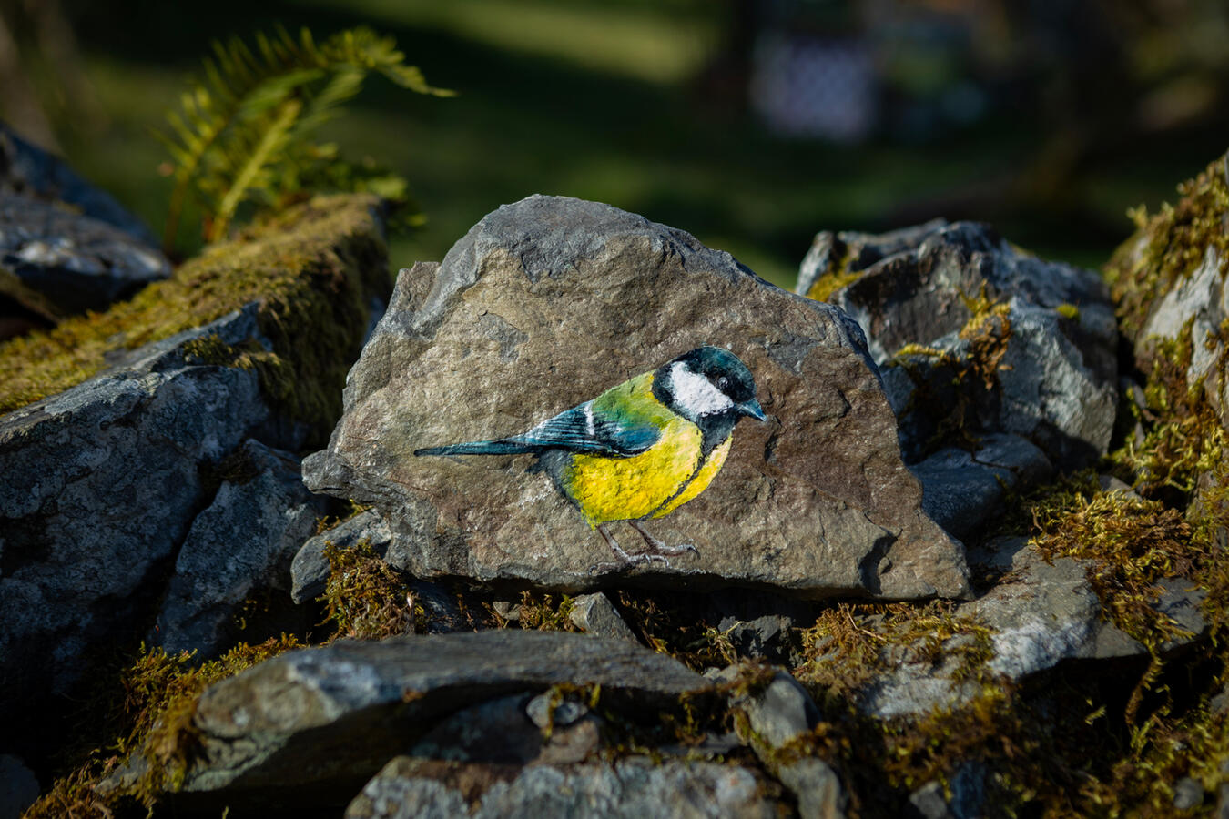 Great Tit #1 acrylic on Welsh slate 13 x 22 cm Available