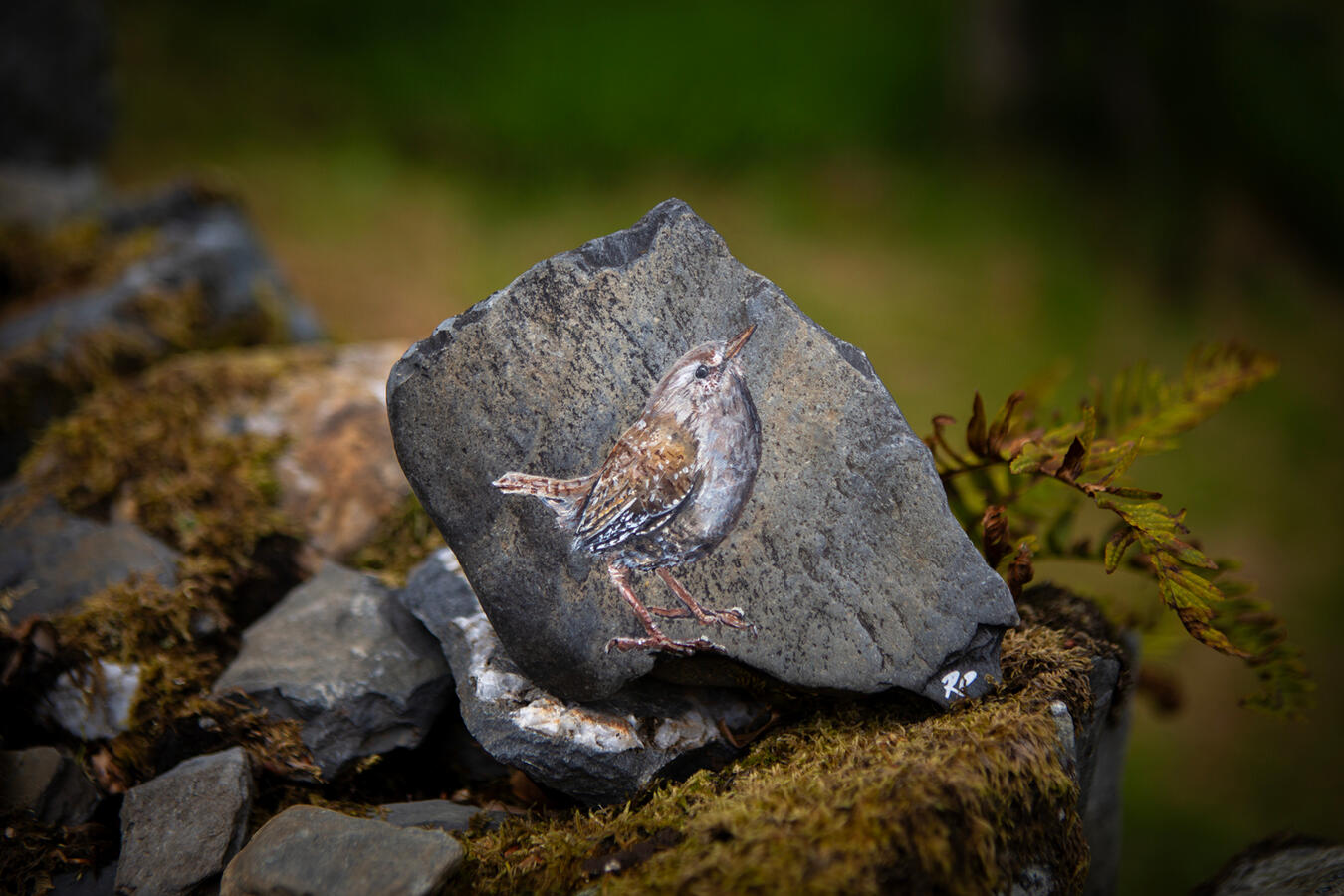 Wren #2 acrylic on river worn Welsh slate 13 x 16..6 cm Available