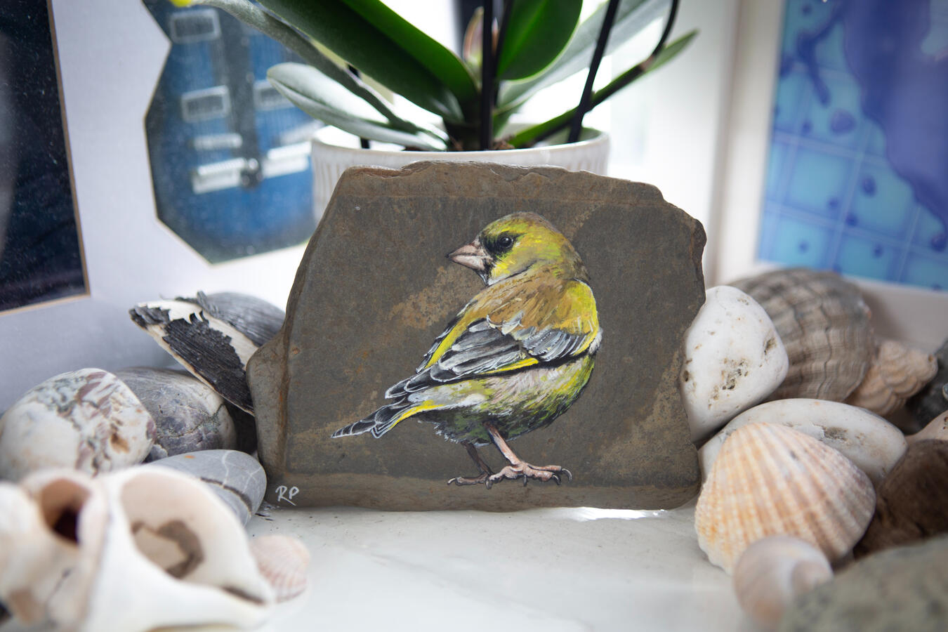 Greenfinch #1 acrylic on Welsh slate 11 x 14.5 cm Available
