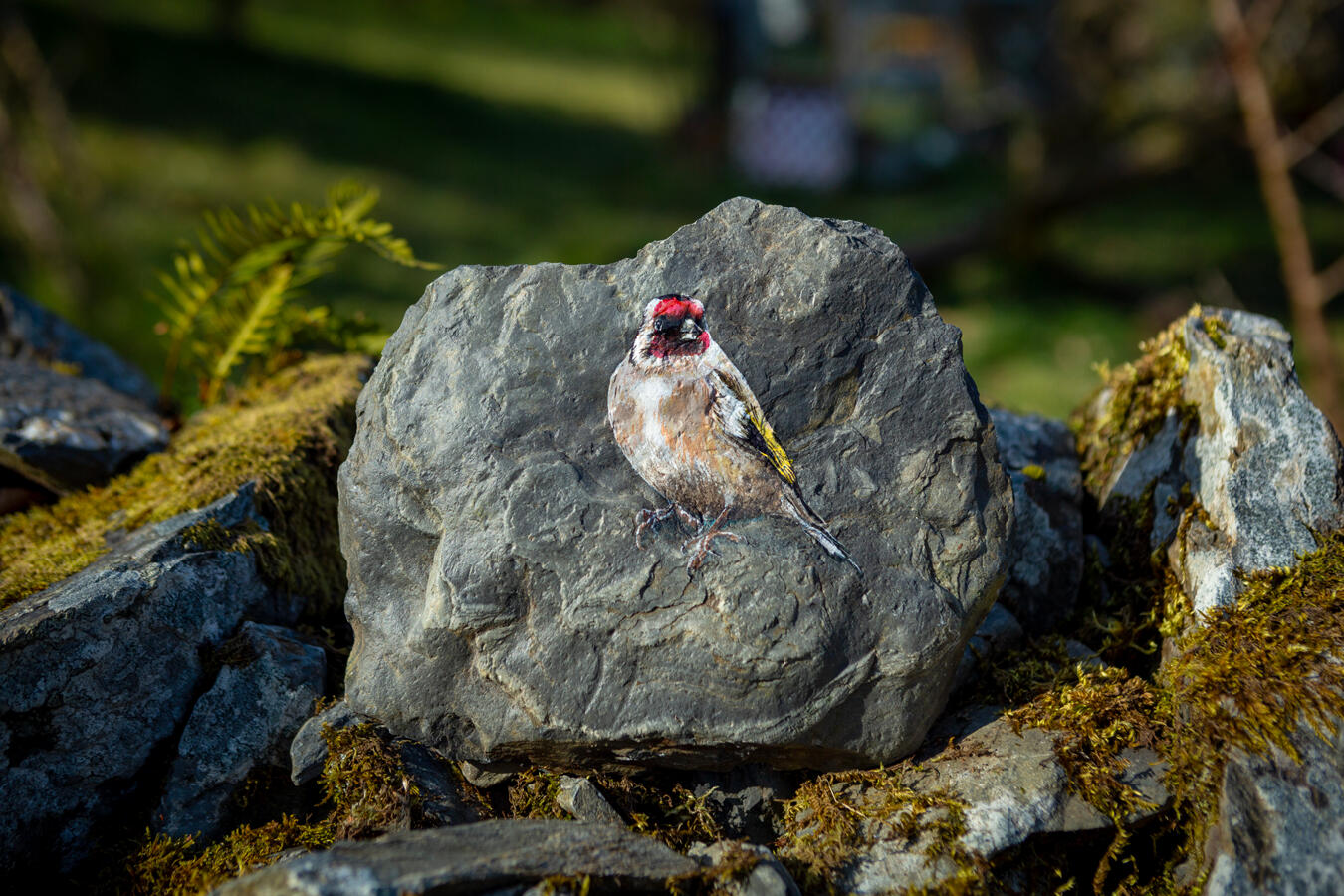 Goldfinch #1 acrylic on Welsh slate 19 x 23.5 cm Available