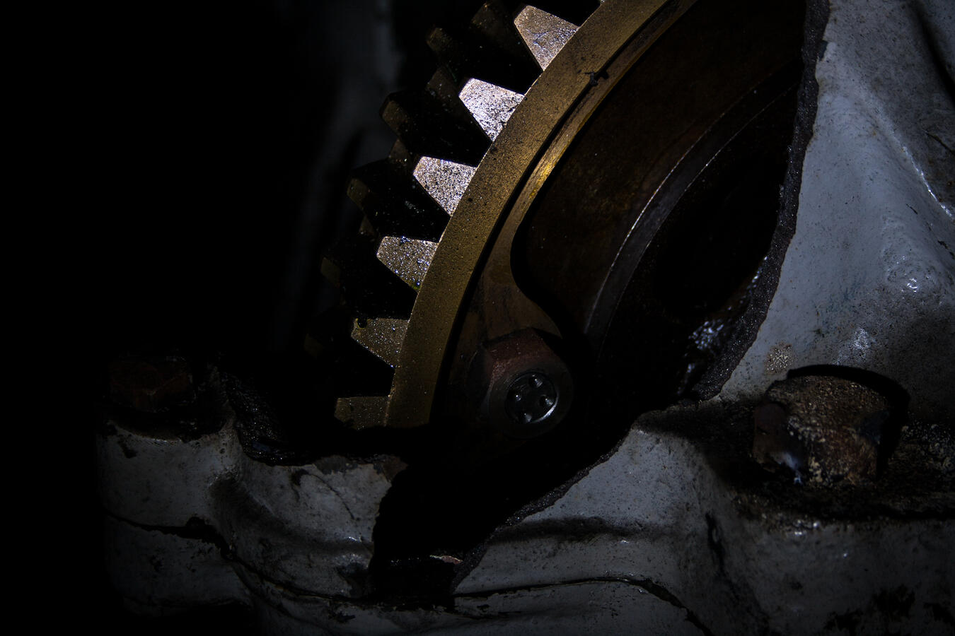 Cog in the Machine