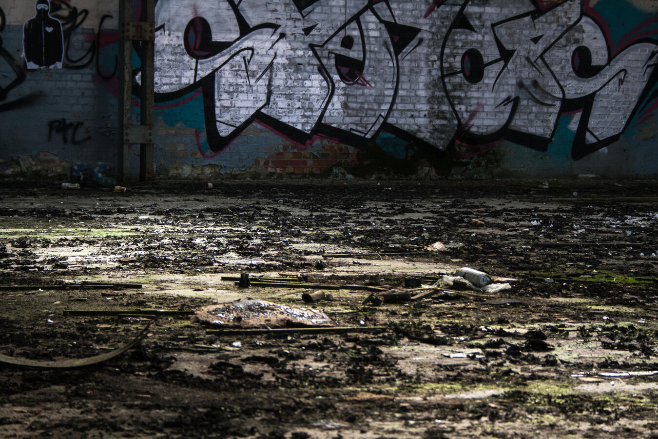 Detritus