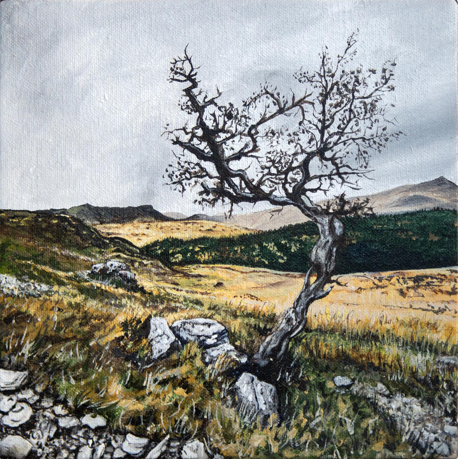 A Lonely Old Tree on the Edge of Eryri 18 x 18 x 3 cm acrylic on canvas Sold