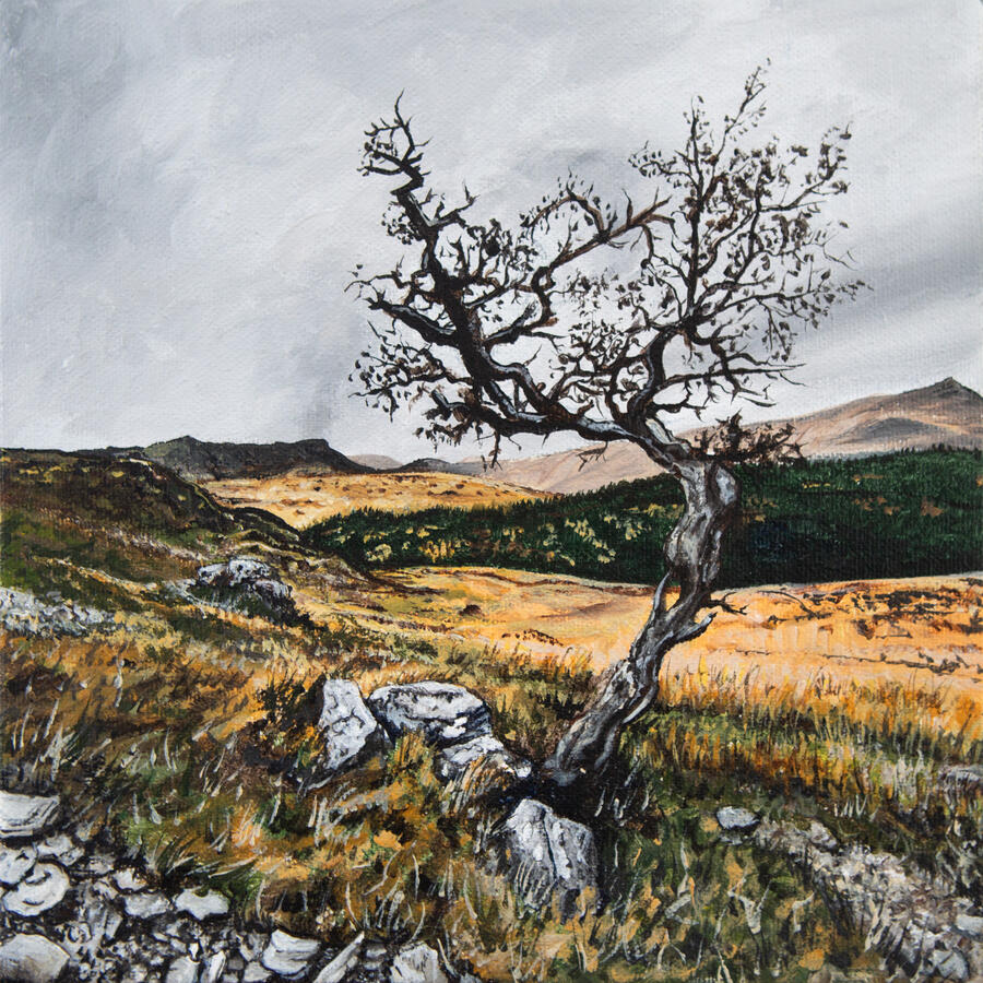 A Lonely Old Tree on the Edge of Eryri 18 x 18 x 3 cm acrylic on canvas Sold